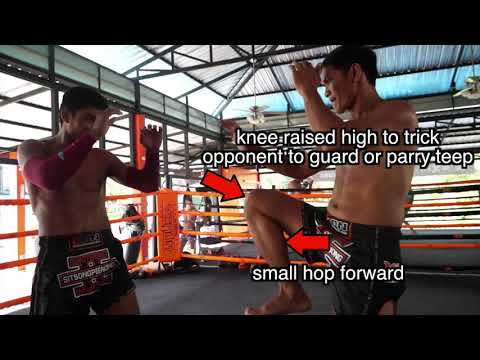 Revolution gym- Fake Teep to Up Elbow