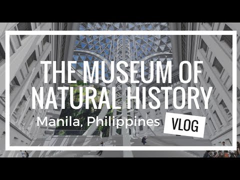 download lagu mp3 mp4 National Museum Ticket Price, download lagu National Museum Ticket Price gratis, unduh video klip National Museum Ticket Price