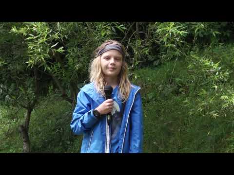 Yannis Rastypetzalis, prezintă vremea în Tabăra TV Dicție.ro