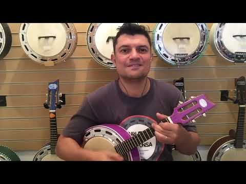 Talarico, Ladrão de Mulher (Zeca Pagodinho / Serginho Procópio) Regulagem de banjo