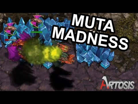 DuGu vs. XiaoShuai G3 - ZvZ - Winner's Bracket Round 1 Match 1 - BSL S15 Asia Championships