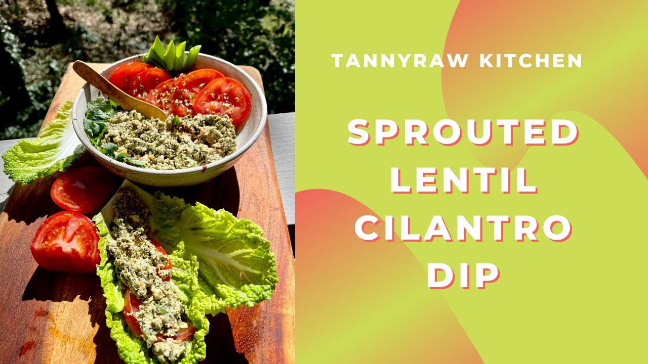 Tannyraw Kitchen - Sprouted Lentil Cilantro Dip