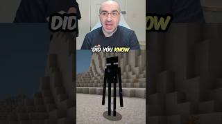 Minecraft’s Secret Language Explained