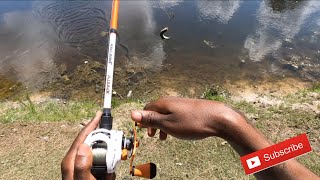 Fishing For Big Bass In Small Ponds !! ( Bank Fishing )
