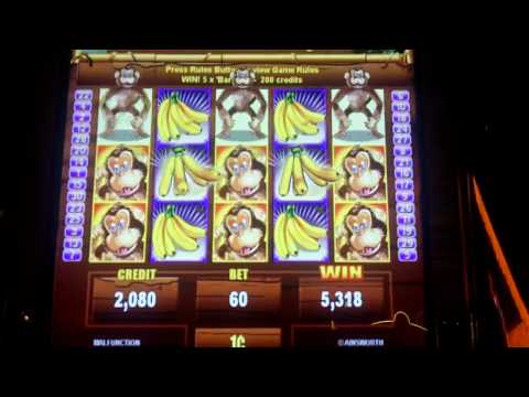 Jungle Monkeys Slot Bonus - Ainsworth