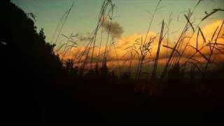 Joan Manuel Serrat - Conversando con la noche y con el viento