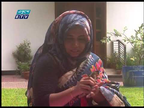 শীত প্রধান দেশের হাঁস পাখিটি বাচ্চা দিলো ঢাকায়