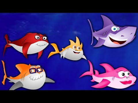 Tubarão Bebê - Baby Shark - Músicas infantis