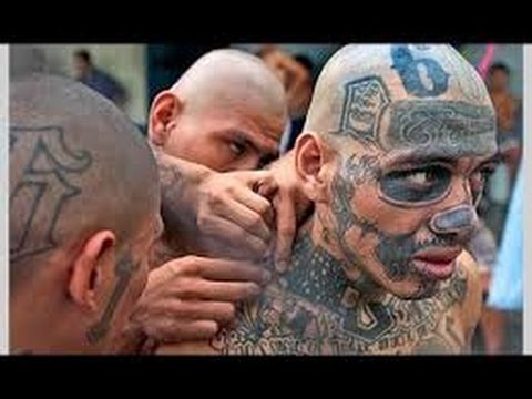 Aryan Brotherhood Documentary Prison Gang History   Hewlett Documenatry & Discovery HD Channel ™