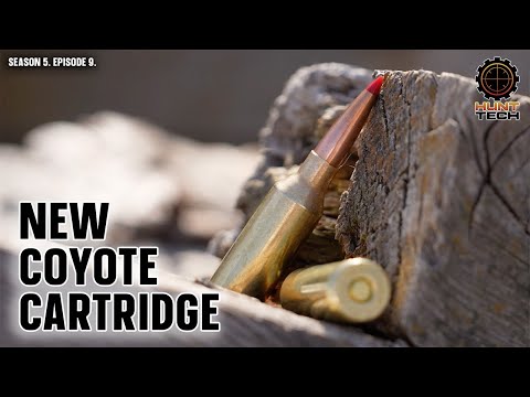 This New V-Match Cartridge is a Coyote Hunter’s Dream