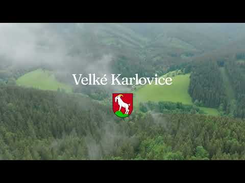 Náhled pro video reference