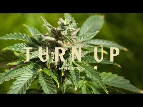 "Turn Up" | Trap Beat | Trap Strings | Bangin' 808 Kicks | L.E.N. Beats