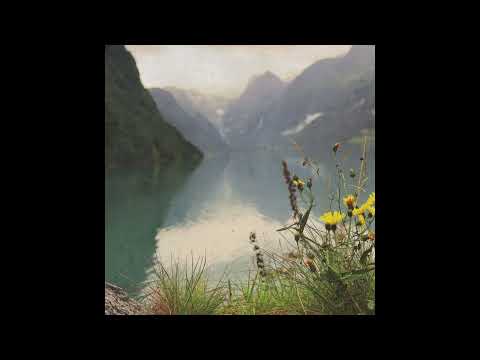 白鳥/Swan/Ensemble Planeta