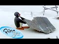 Productive Pingu Pingu Official Channel Cartoons For Kids