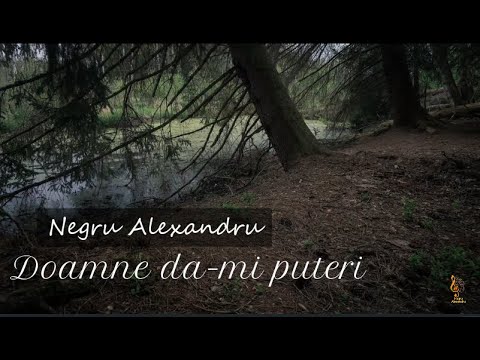 Negru Alexandru-Doamne da-mi puteri