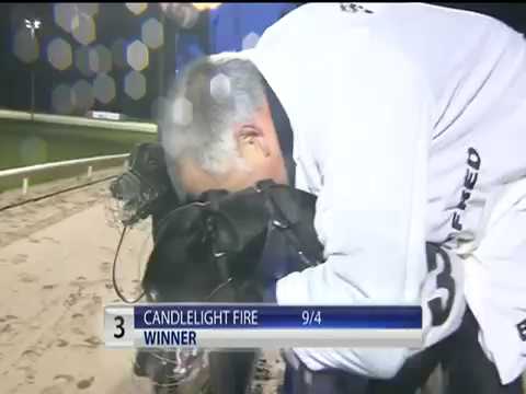 2017 BRITISH BREEDERS STAKES FINAL - T3 CANDLELIGHT FIRE