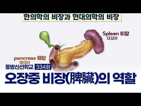 기초(숨) 수행과정