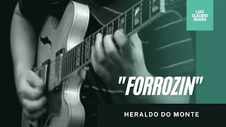 "Forrozin" (Heraldo do Monte) / Luiz Cláudio Sousa