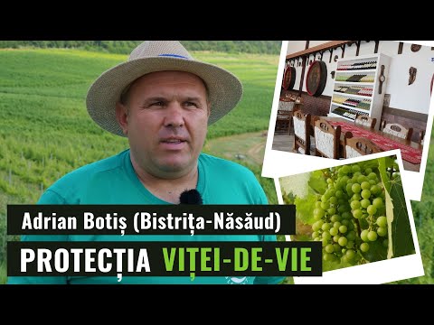 , title : 'Experienţa viticultorului Adrian Botiş cu produsele Syngenta'