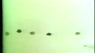 The Letter People TV 60 Sentences Part II