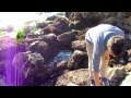 MFEO (Pt. 1 Made for Each Other) by Jack's Mannequin