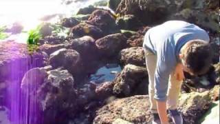 MFEO (Pt. 1 Made for Each Other) by Jack&#39;s Mannequin