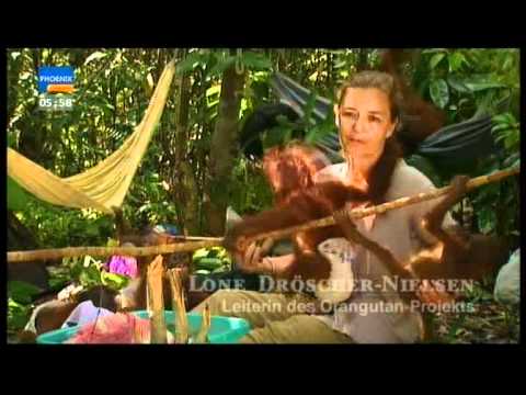 Tropenfieber - Im Land der Kopfjäger (2 / 5)