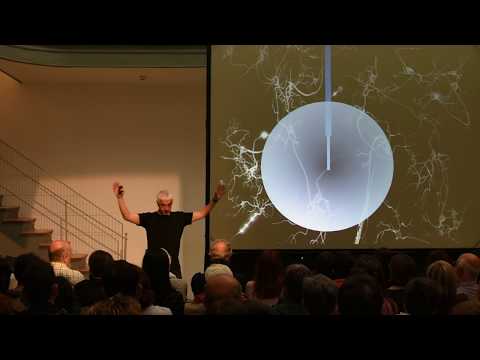 Vídeo: Unha viaxe á máquina da mente