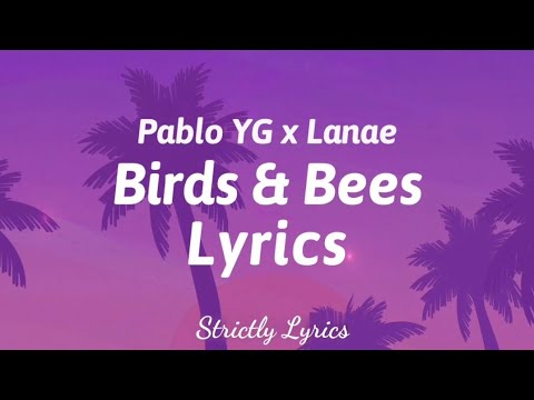 Pablo YG x Lanae - Birds & Bees Lyrics | Strictly Lyrics