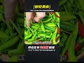 家用幾十年腌辣椒配方，用料簡單，不發軟保存1年不壞，香辣下飯 | 完整版:查看評論