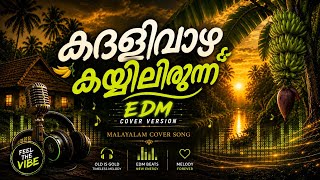 Download lagu കദളിവാഴ കയ്യിലിരുന്ന് | Kadalivazha Kayyilirunnu Malayalam Folk EDM Song | DesiFusionBeats mp3