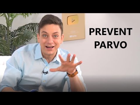 YouTube video about: How to prevent parvo in an apartment complex?