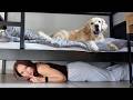 Playing Hide And Seek With My Dog