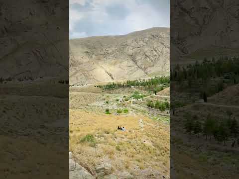 Chintan Paha karkasa