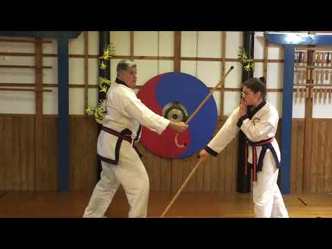 Combat Cane Online Course