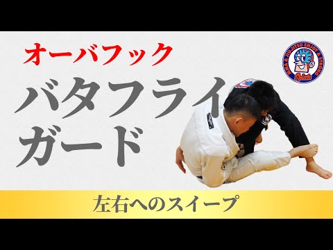 オーバーフックバタフライガード