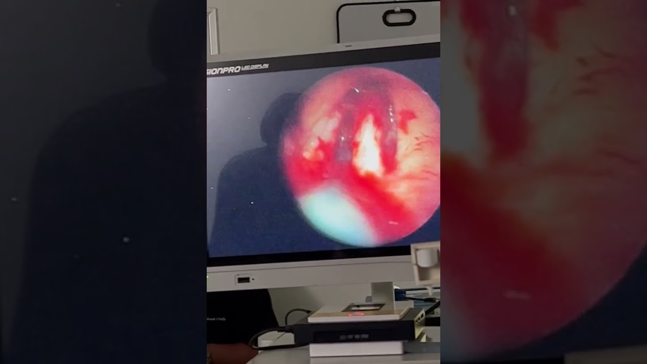 Juan Carlos Mendez Gutierrez-46