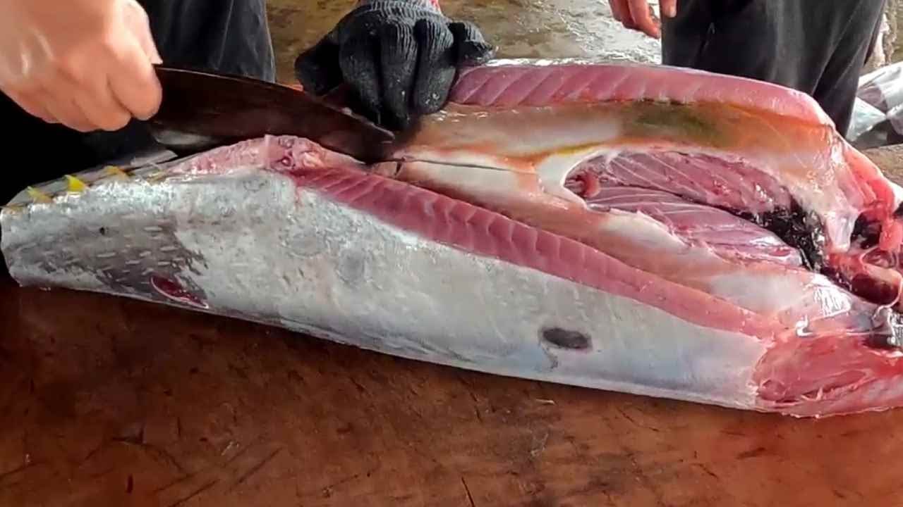 Sharp Knife cuts Big Yellowfin Tuna into 4 Pieces
