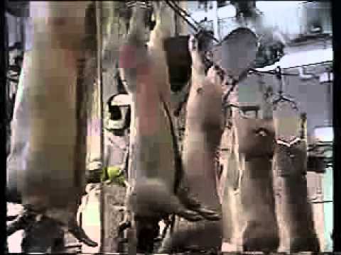 работа пилы