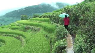 preview picture of video 'Walking the Rice Terraces in Yuanyang'