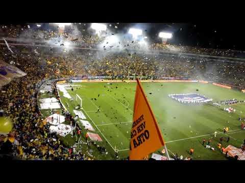 "Recibimiento Final Tigres vs Rayados 2017" Barra: Libres y Lokos • Club: Tigres