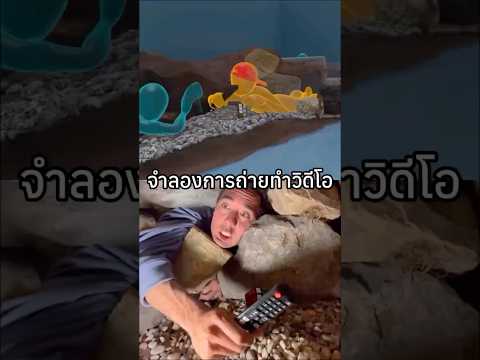 จำลองการถ่ายทำ… #BadAi #shorts #ytshorts #zachking Credit : ZachKing
