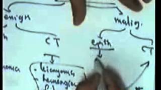 systemic pathology : digestive system 4 appendix obstruction tumours DR SAMEH GHAZY
