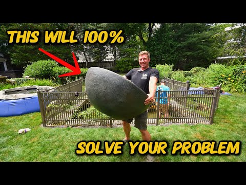 THE #1 WAY TO CLEAR UP YOUR POND (24 HOUR SOLUTION)