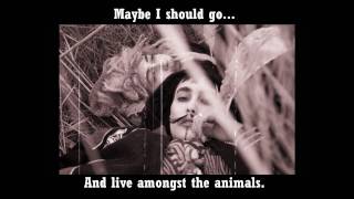 CocoRosie - Animals (With Lyrics)