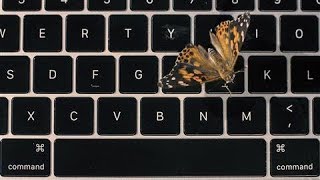 Apple's Faulty MacBook Butterfly Keyboard Explained... With Real Butterflies | WSJ Apple's Faulty MacBook Butterfly Keyboard Explained... With Real Butterflies | WSJ