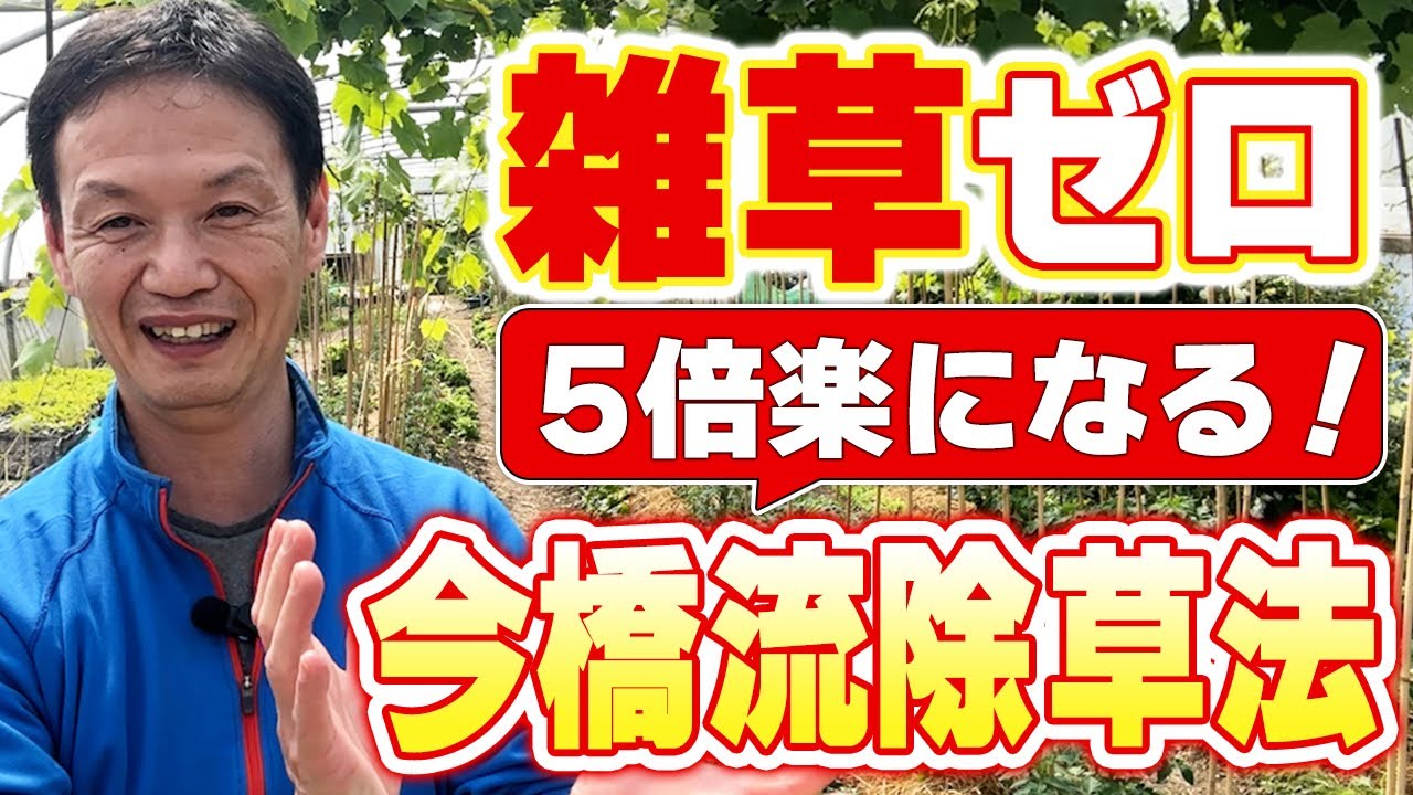 成長点を狙う!先手必勝の楽々除草術