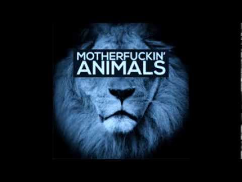 Blasterjaxx Vs  Martin Garrix - Mystica Animals (Dj Milton MashUp)