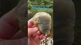 Download lagu Rockhounding Oregon for agates! #rockhounding #rockhound #adventure #agates #agate mp3