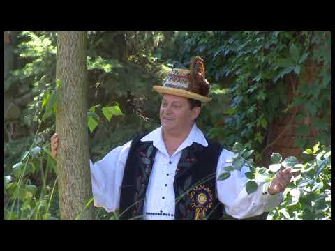 Nicolae Muresan - Trecui asara prin codru